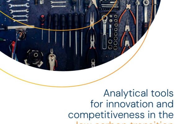 Analytical tools for innovation and competitiveness in the low carbon transition