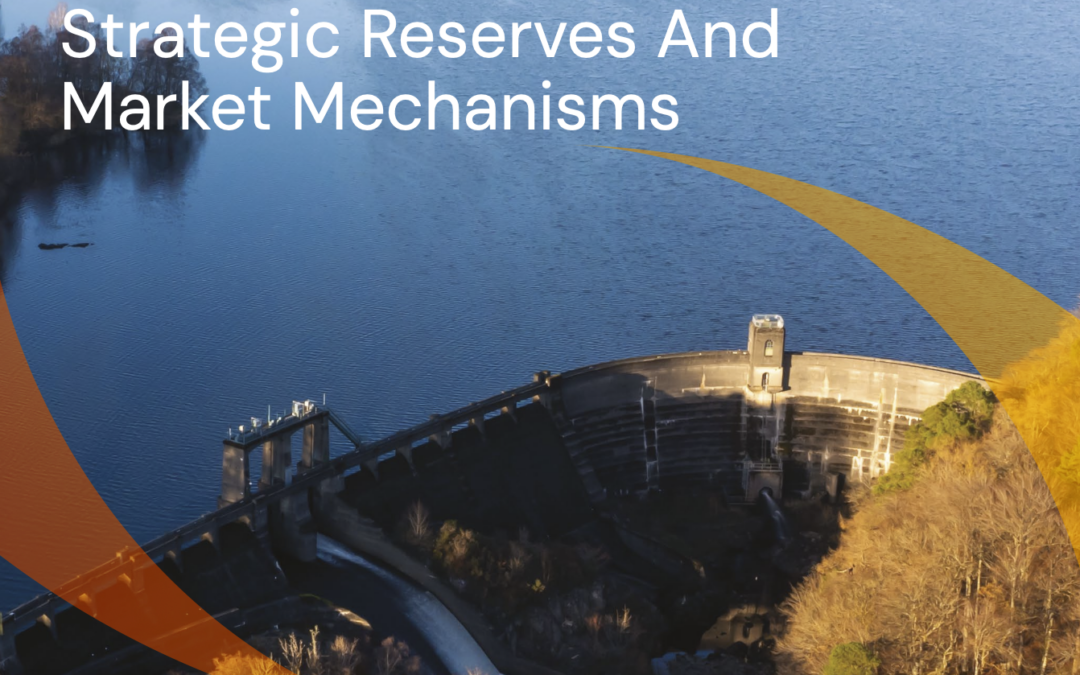 Filling the policy gap for long-duration energy storage: strategic reserves and market mechanisms