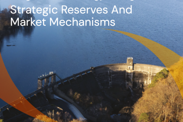 Filling the policy gap for long-duration energy storage: strategic reserves and market mechanisms